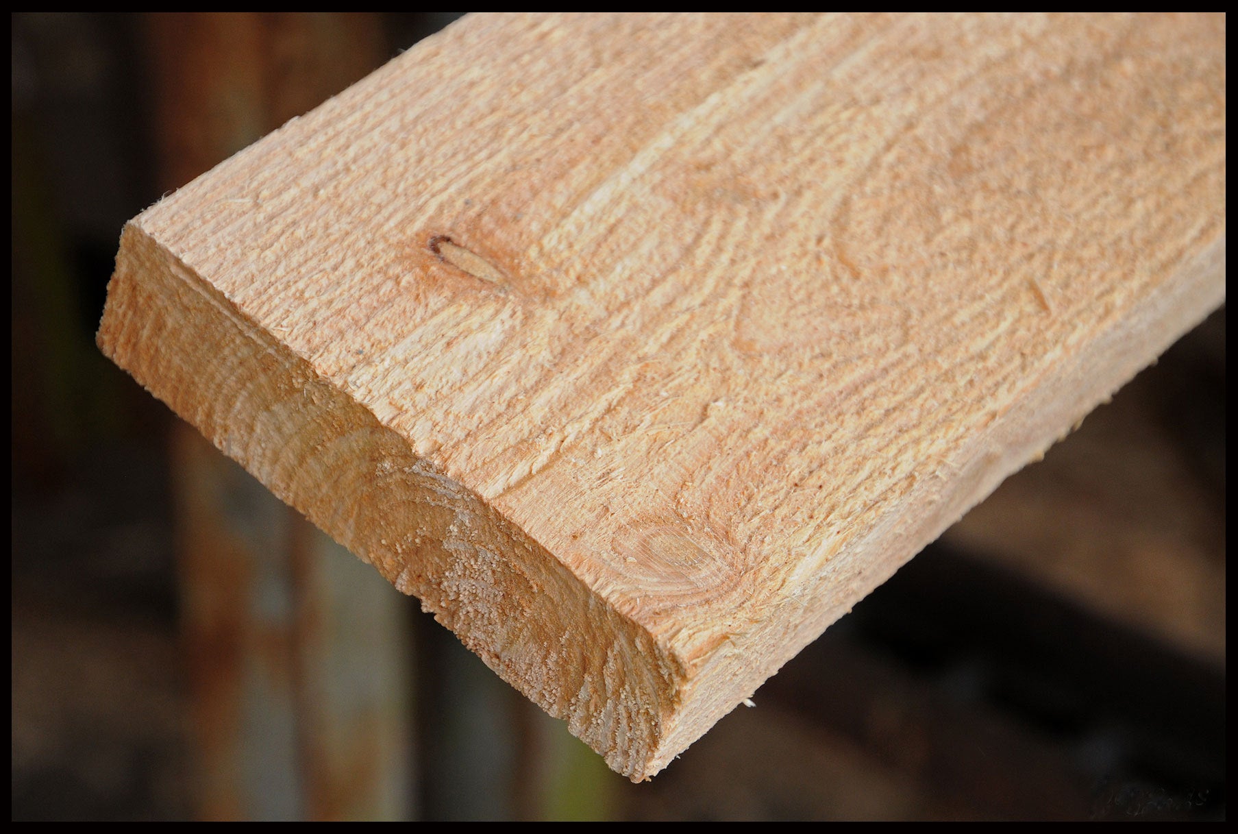 Lærke bræt 32x125 mm