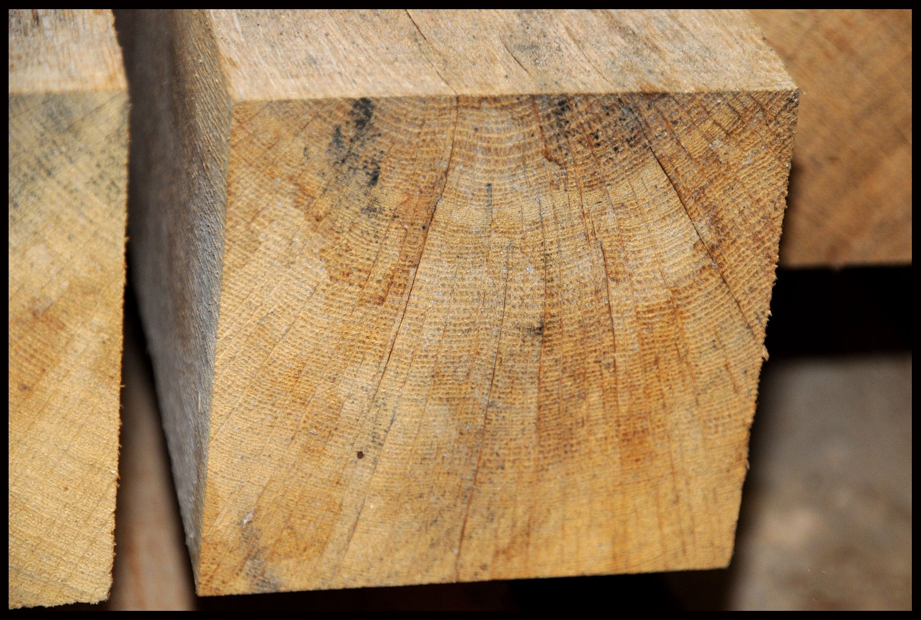 Ege tømmer 100 x 100