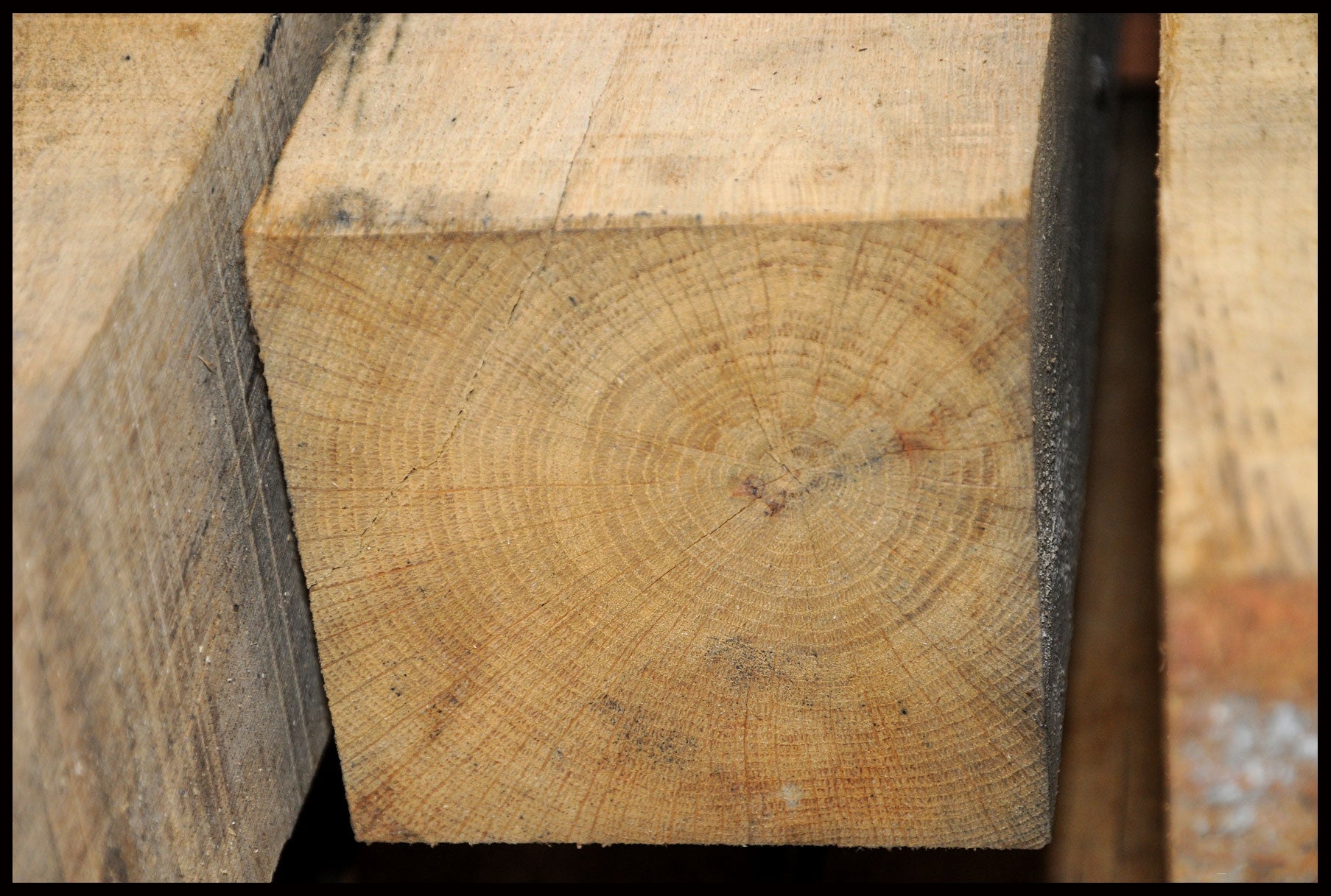 Ege tømmer 125 x 125