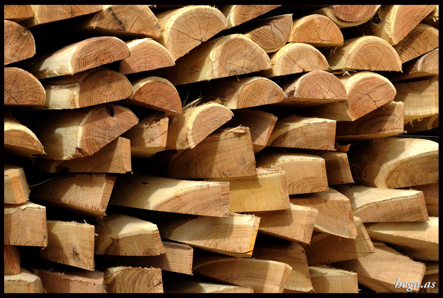 Halv hegns pæl Ø10-12