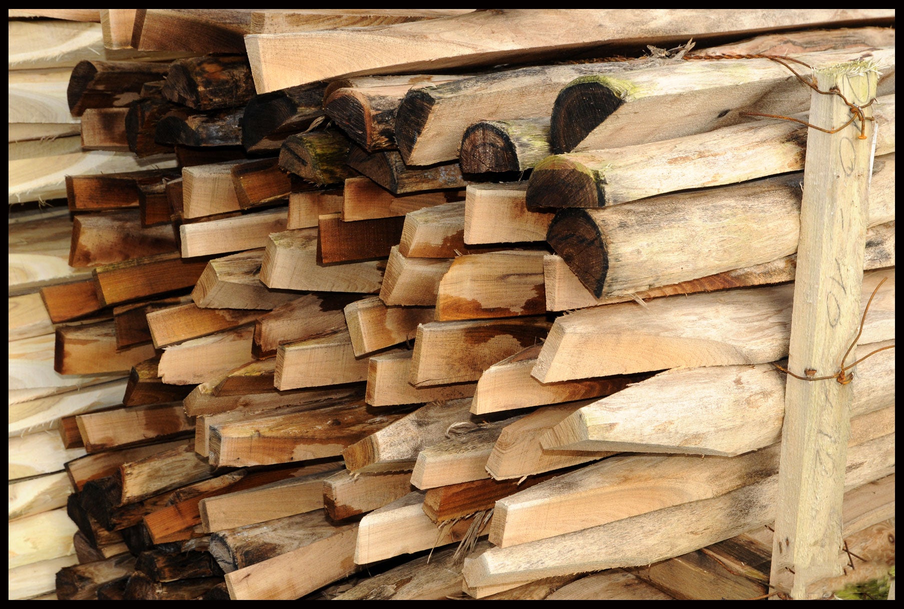 Hegnspæl halv Ø10-12