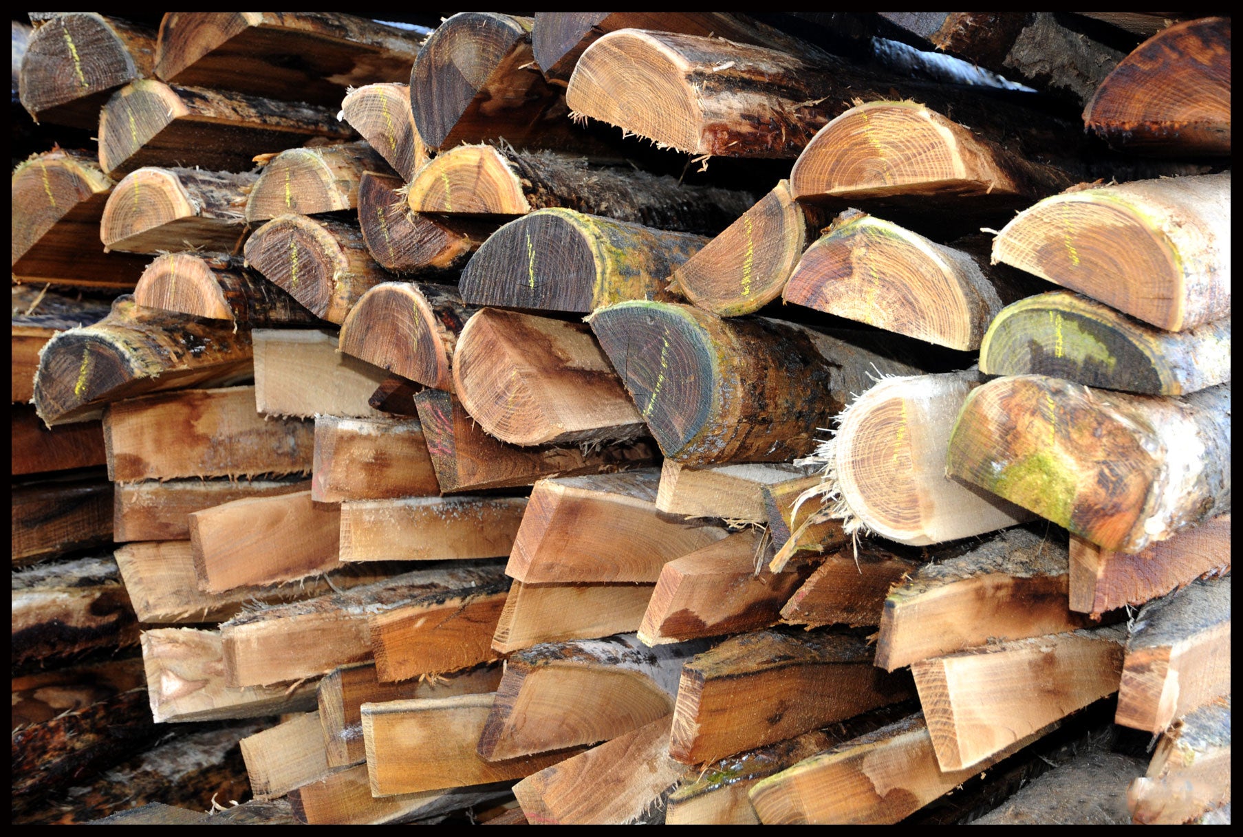 Halv robinie hegnspæl Ø12-14