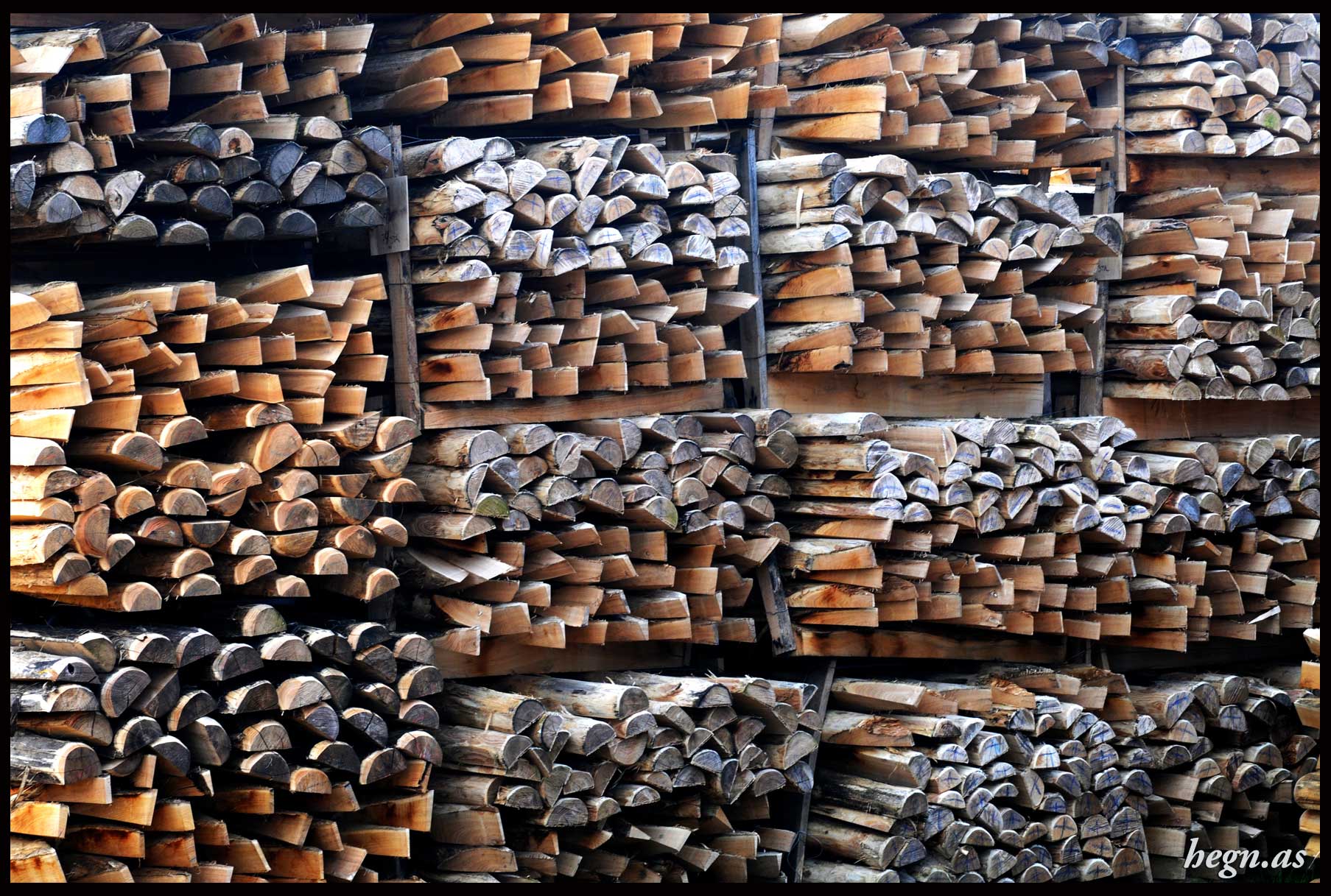 Ø12-14 hegnspæl halv i robinie