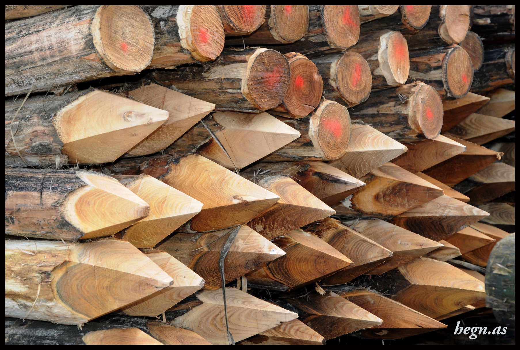 Hel hegnspæl Ø12-14