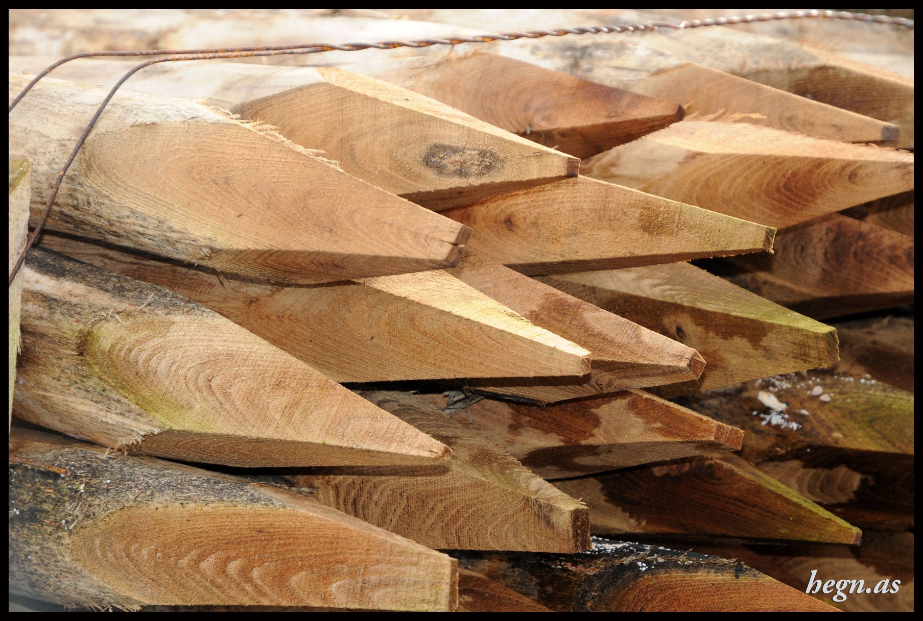 Hegnspæl i robinie Ø8-10