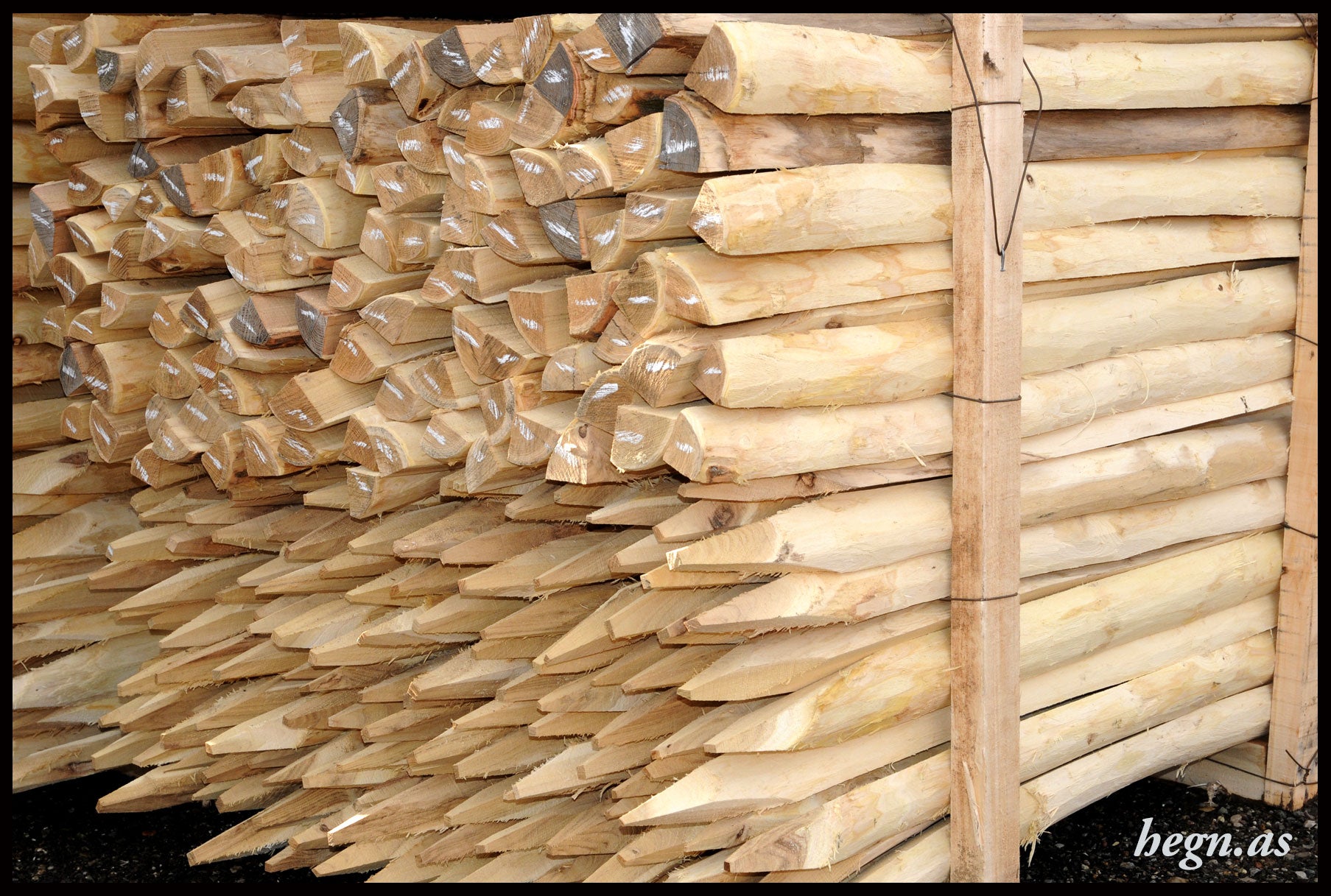 Kvarte hegns pæle i robinie