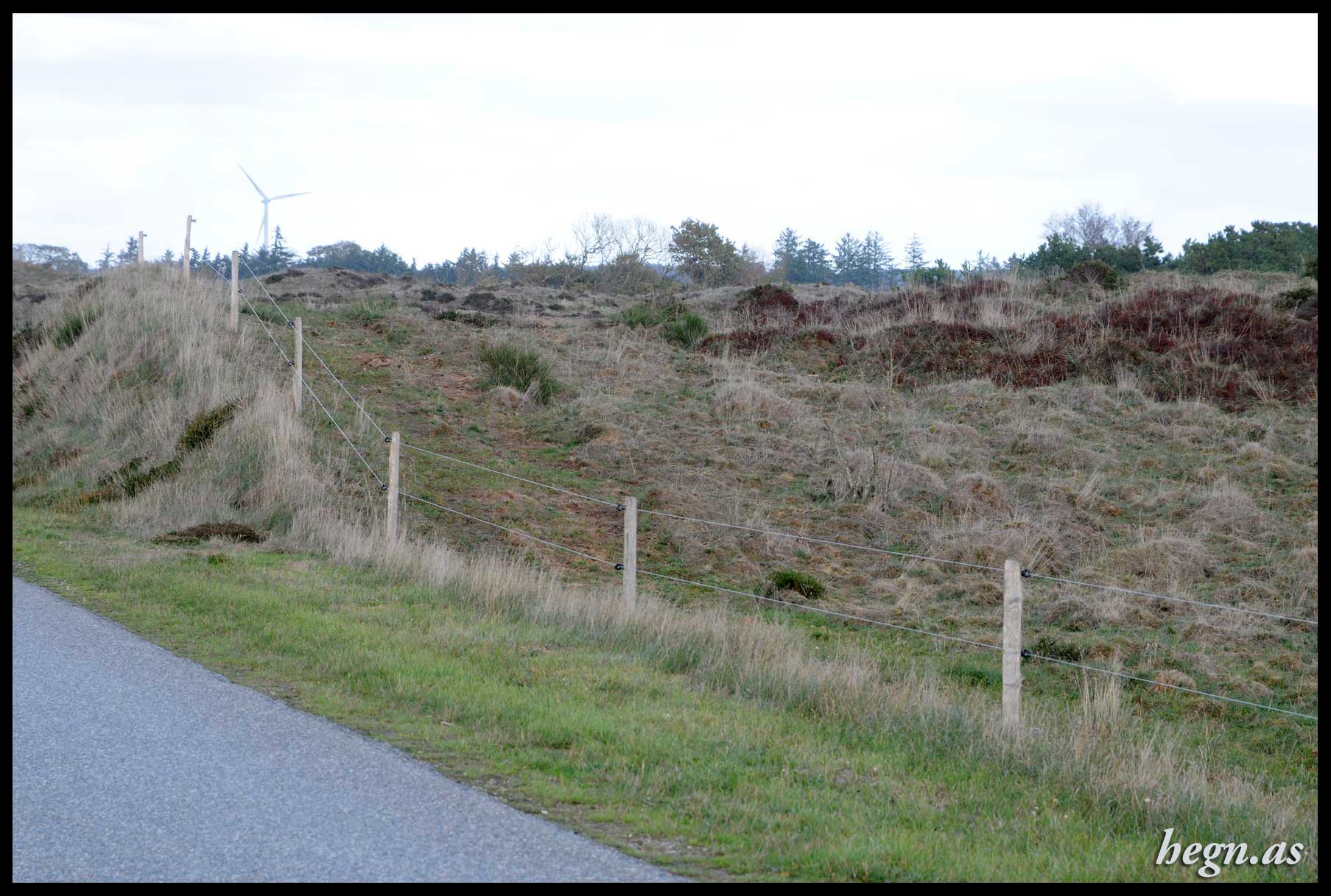 Kvart pæle i robinie