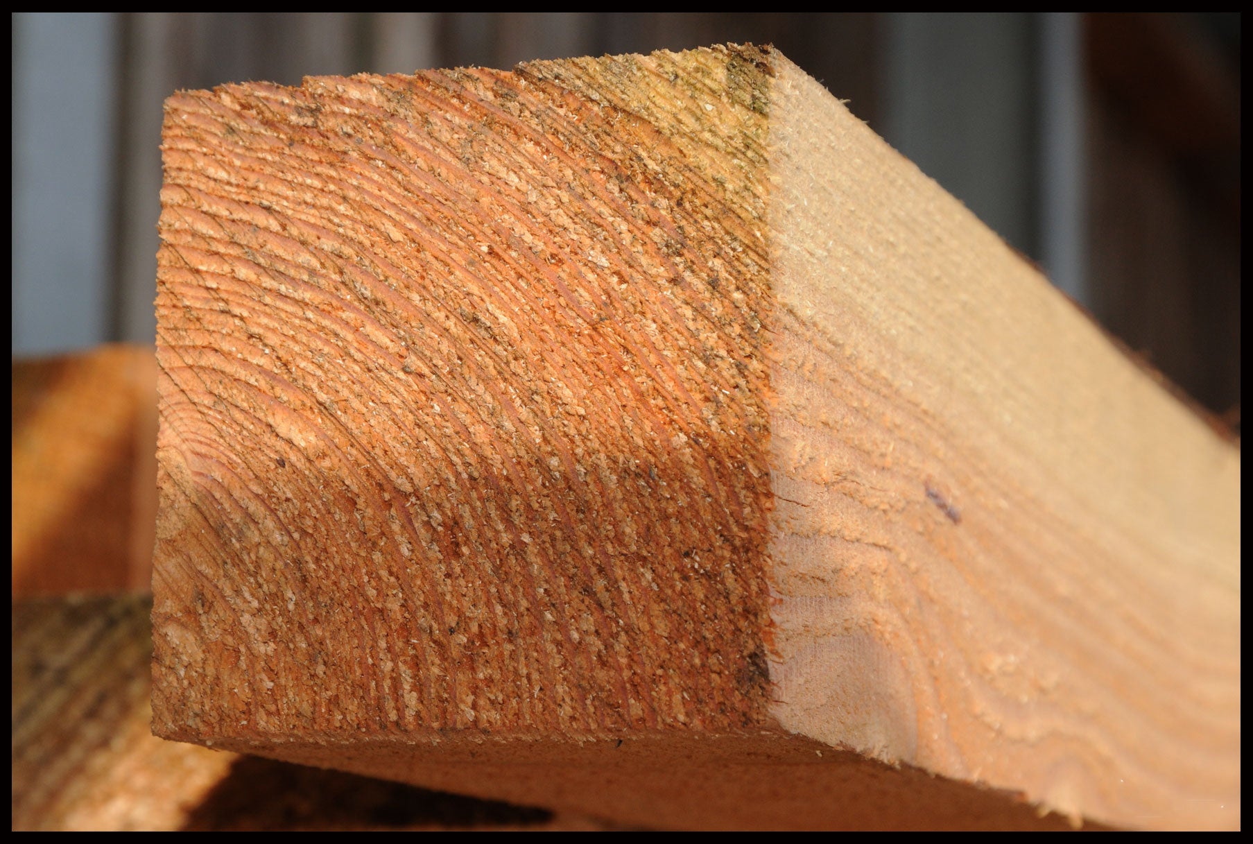 Lærke tømmer 100 x 100 mm