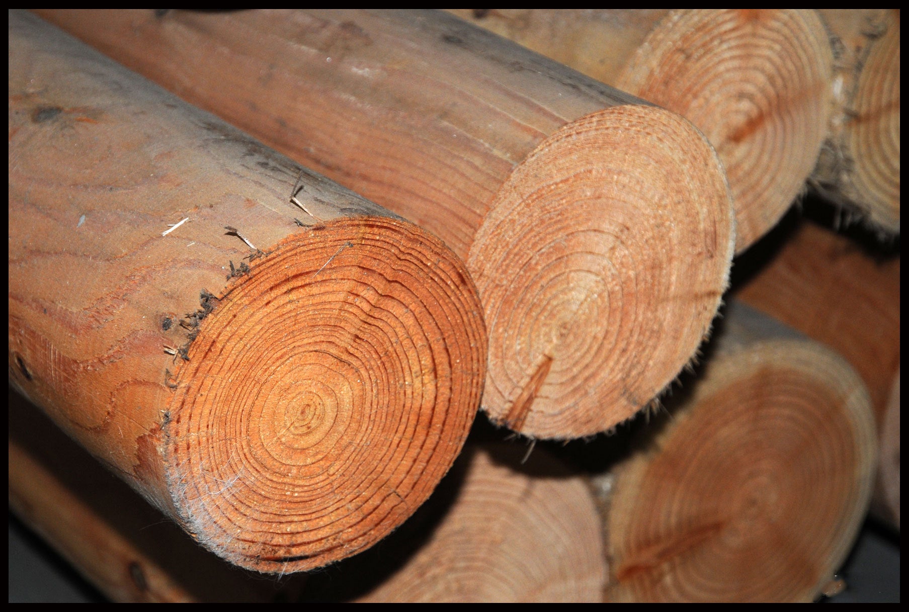 Lærke rund stolpe Ø14