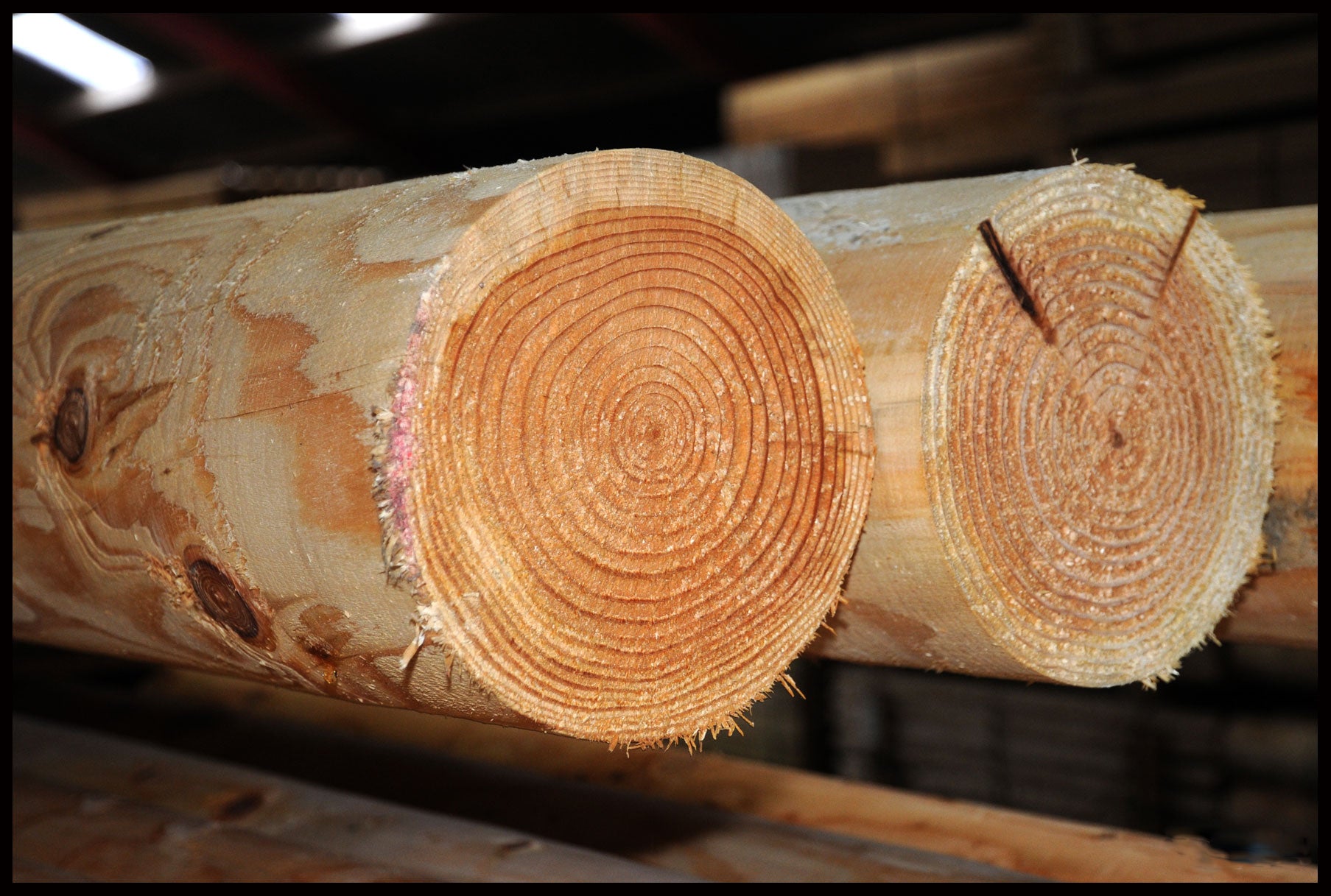 Rund lærke stolpe Ø16