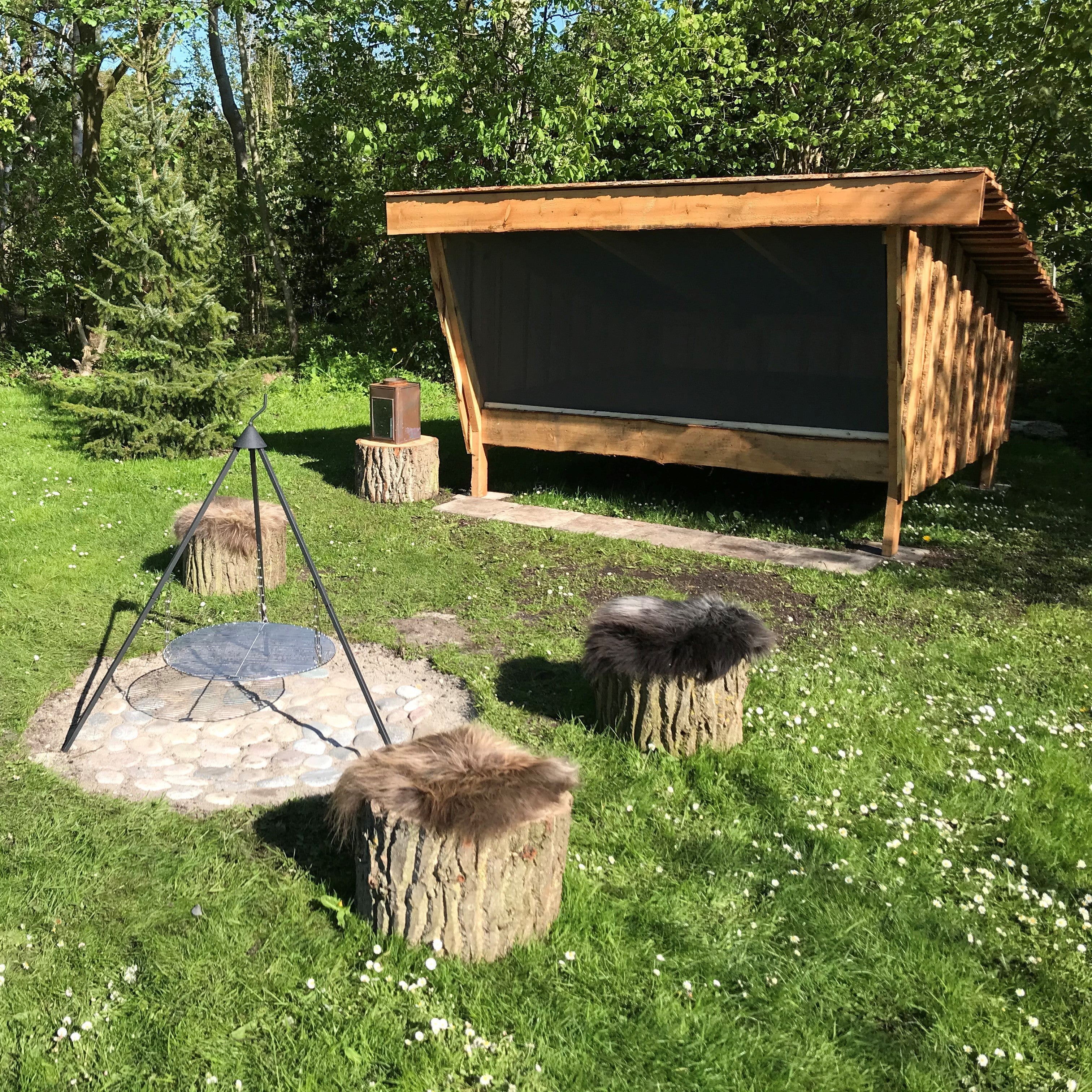 Shelter i dansk lærk