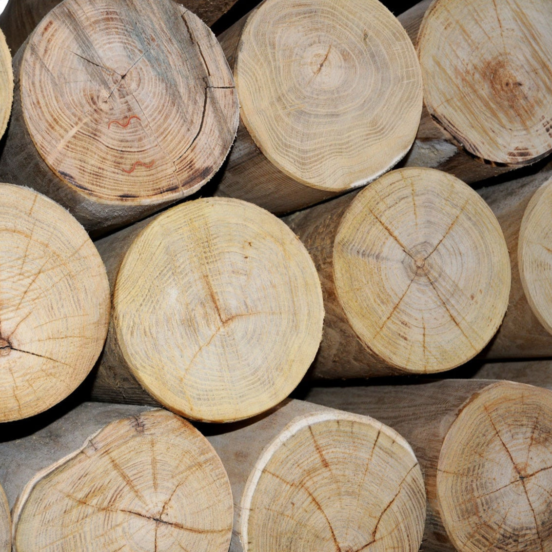 Rund stolpe i robinie Ø16