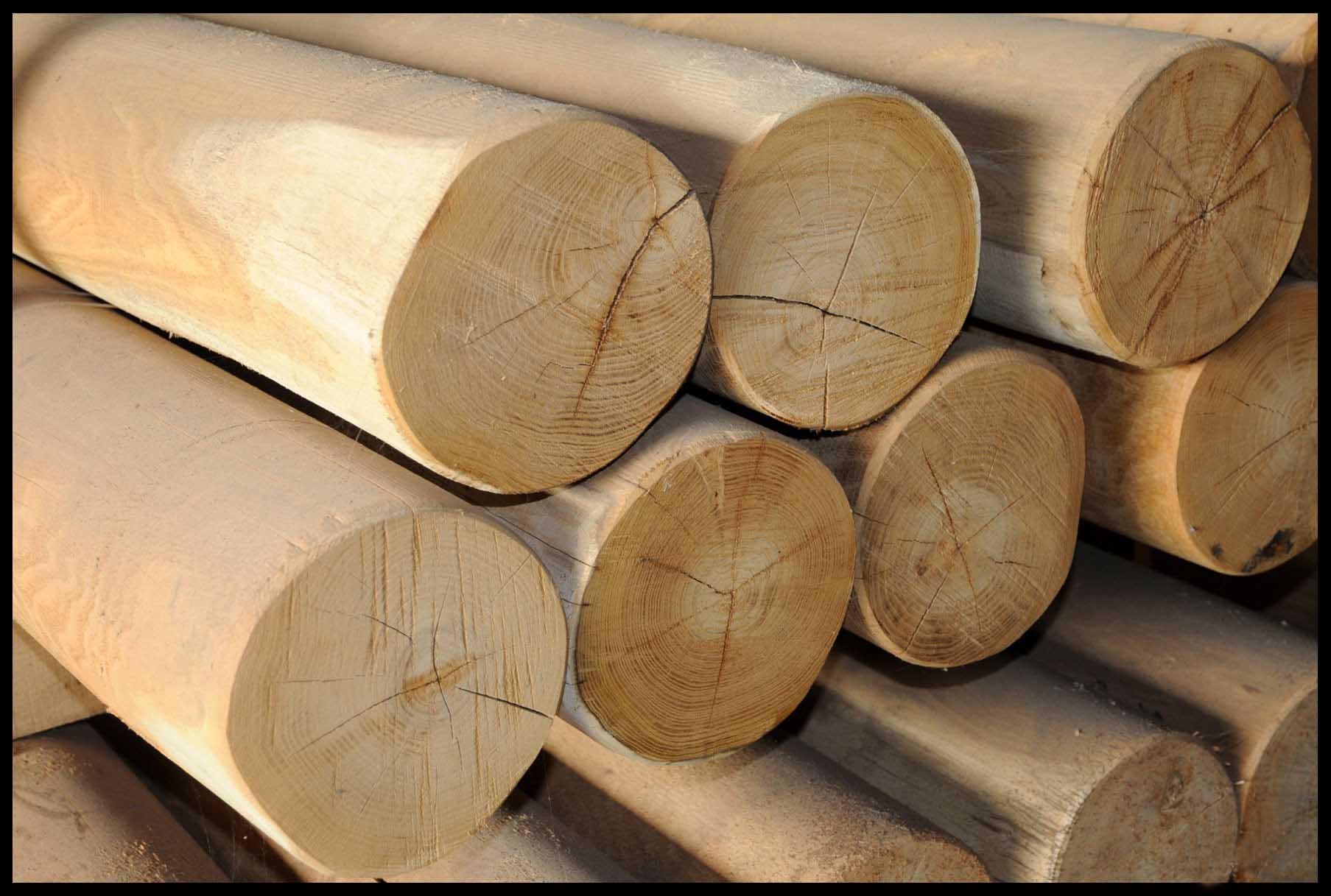 Stolpe i Robinie Ø20