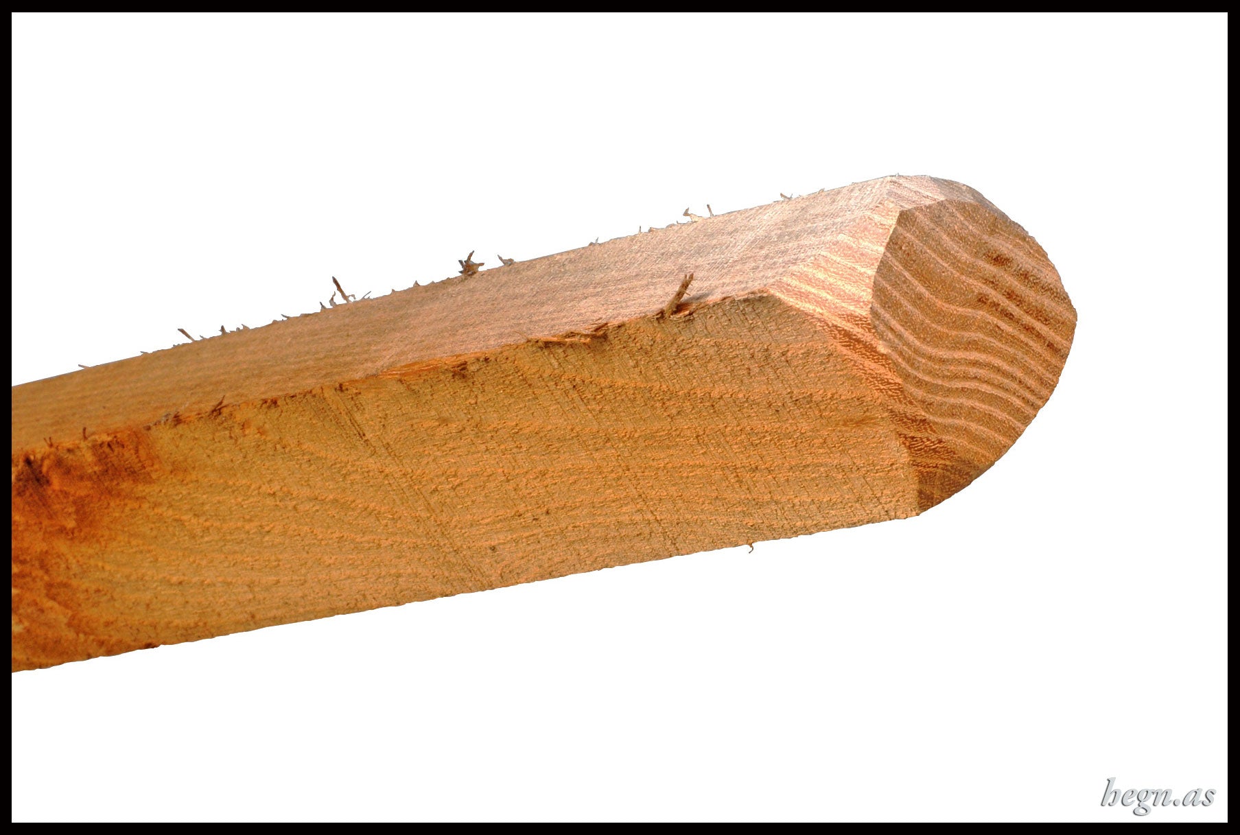 Vinstok i robinie ende