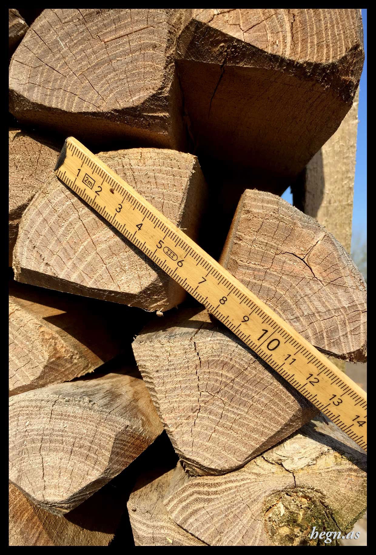 Dimension af vinstokke robinie