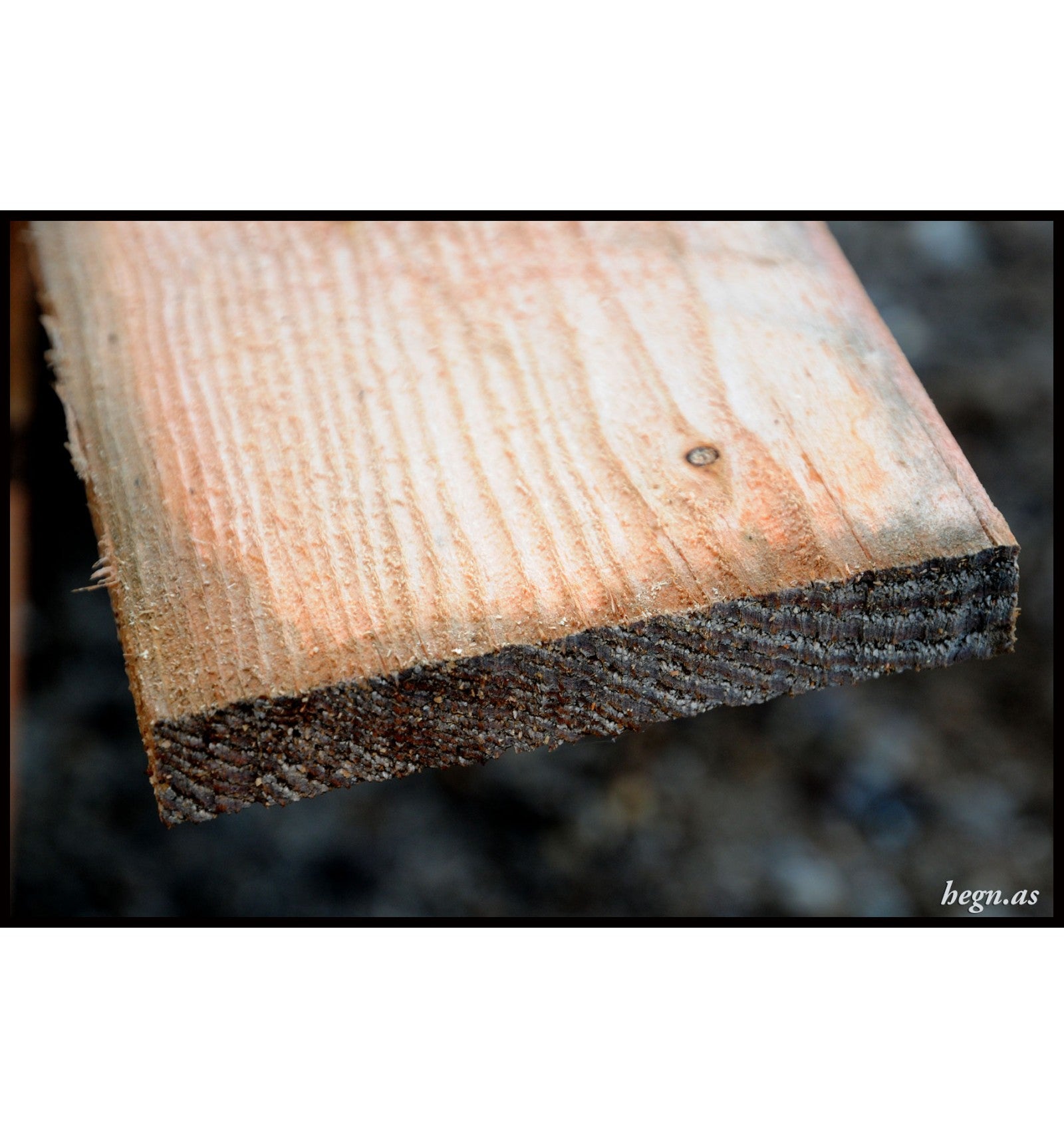 Bræt i lærk 19 x 125