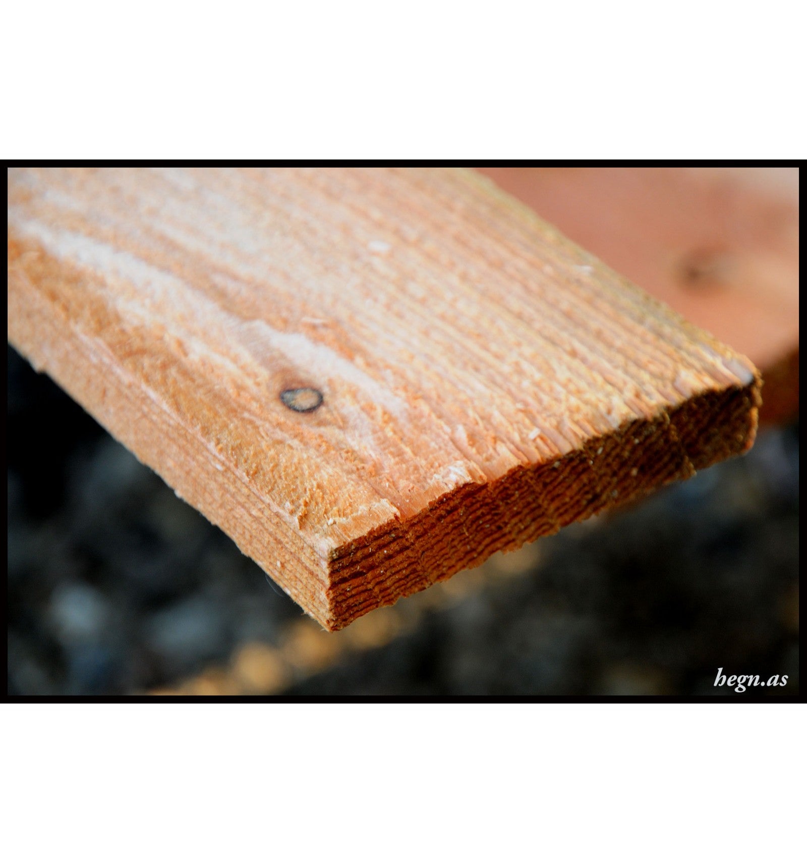 Lærke bræt 19 x 100 mm