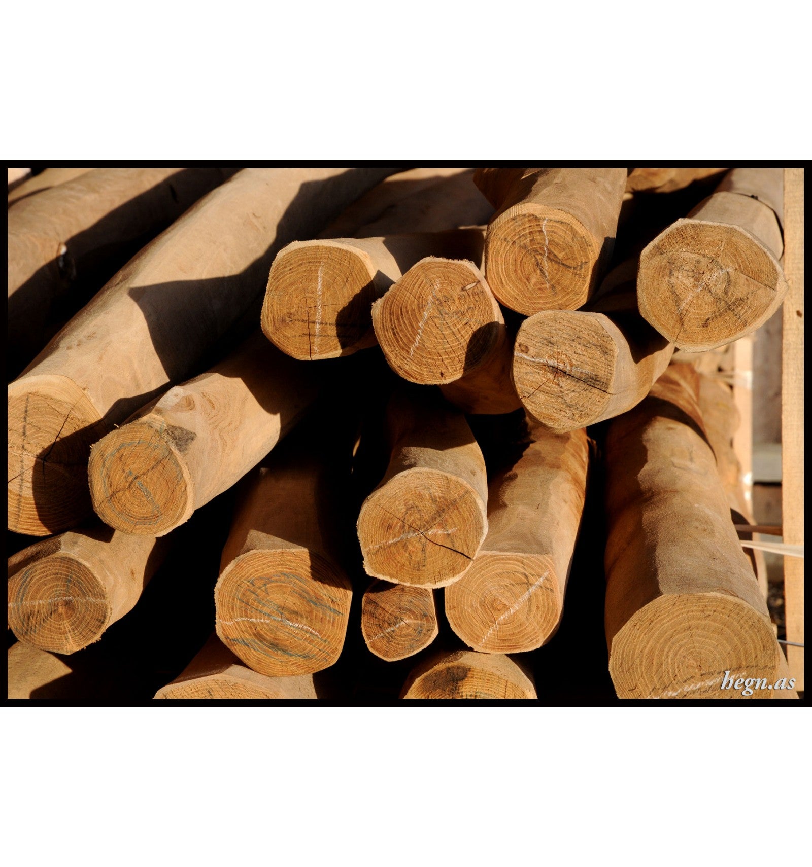 Robinie stolper pudset