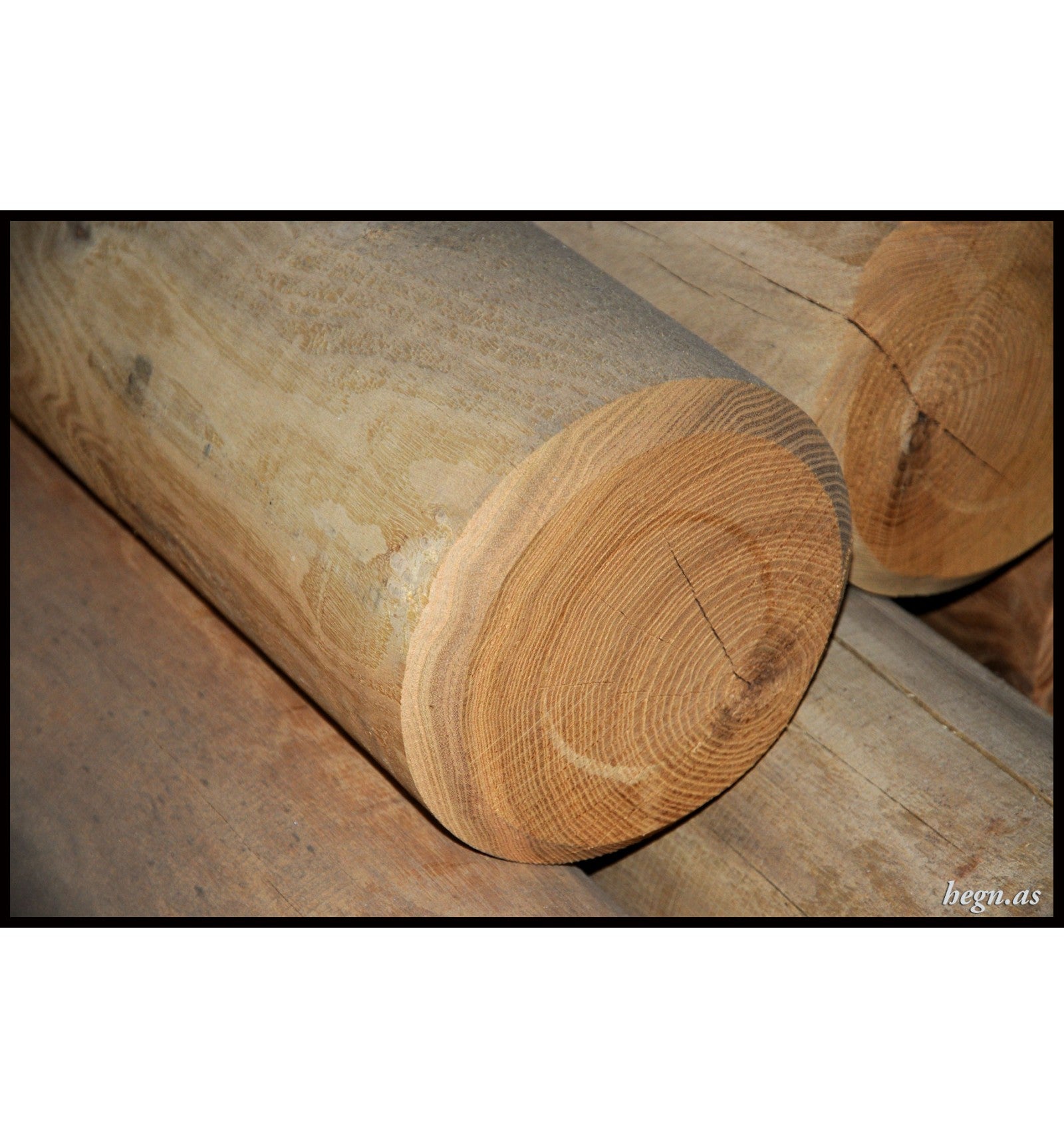 Cylindrisk robinie stolpe Ø18