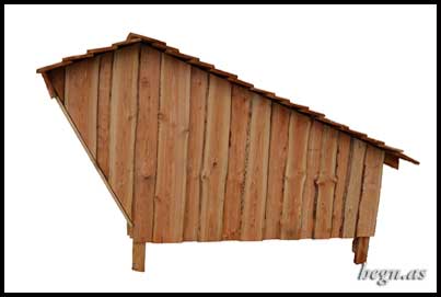 Shelter i dansk lærk