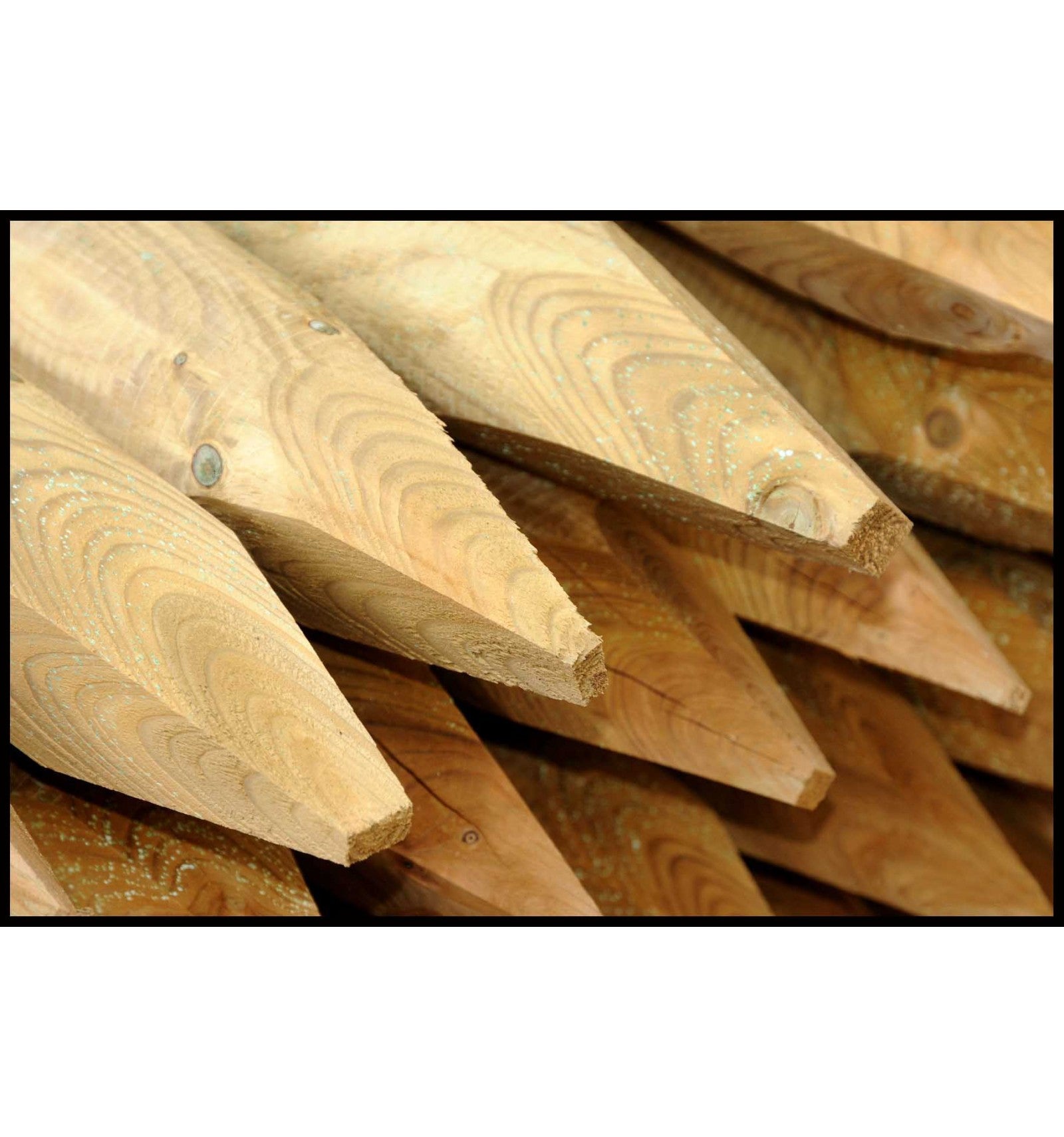 Spidspæl i Ø7 trykimprægneret