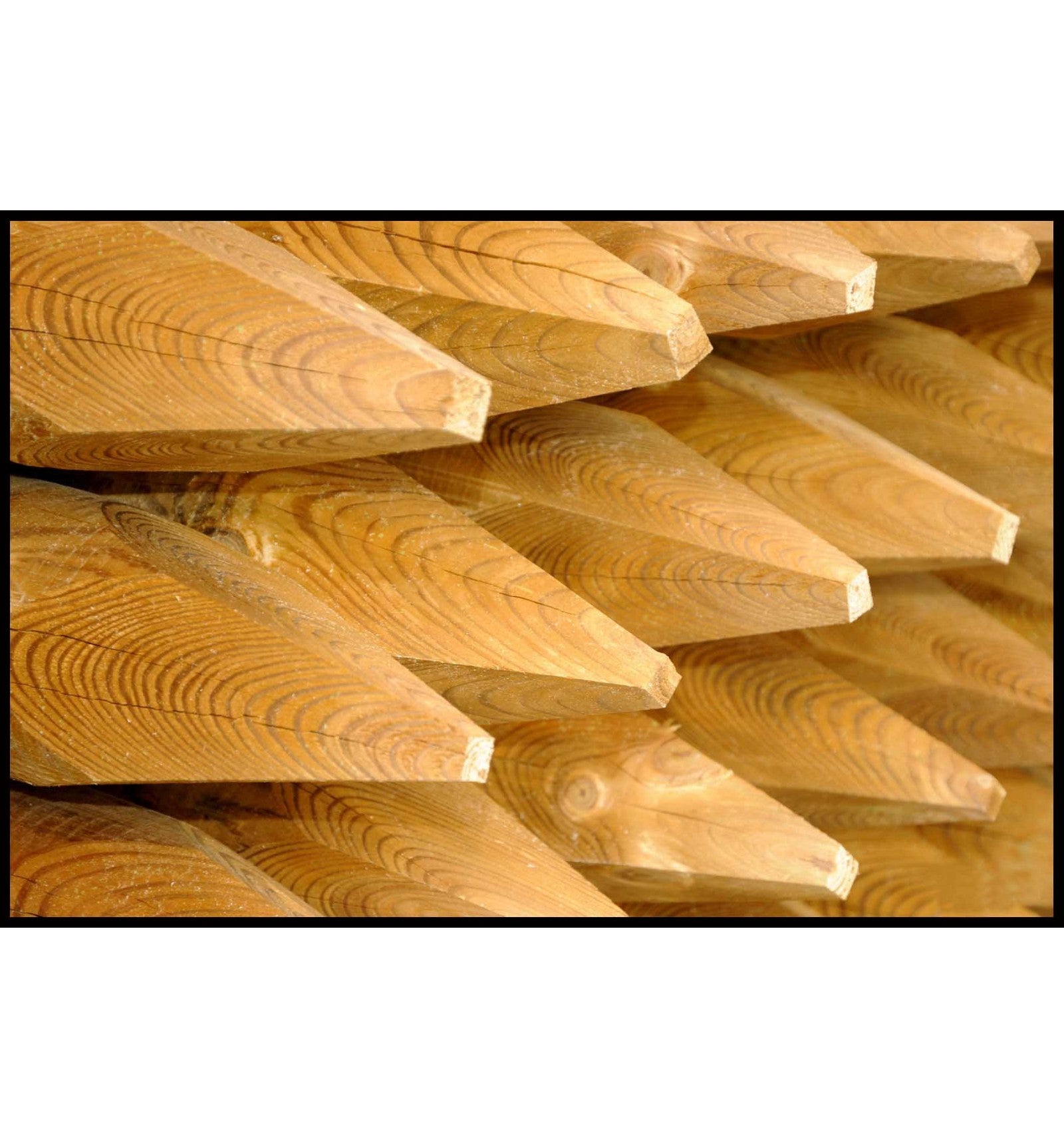 Trykimprægneret Ø10 spidspæle