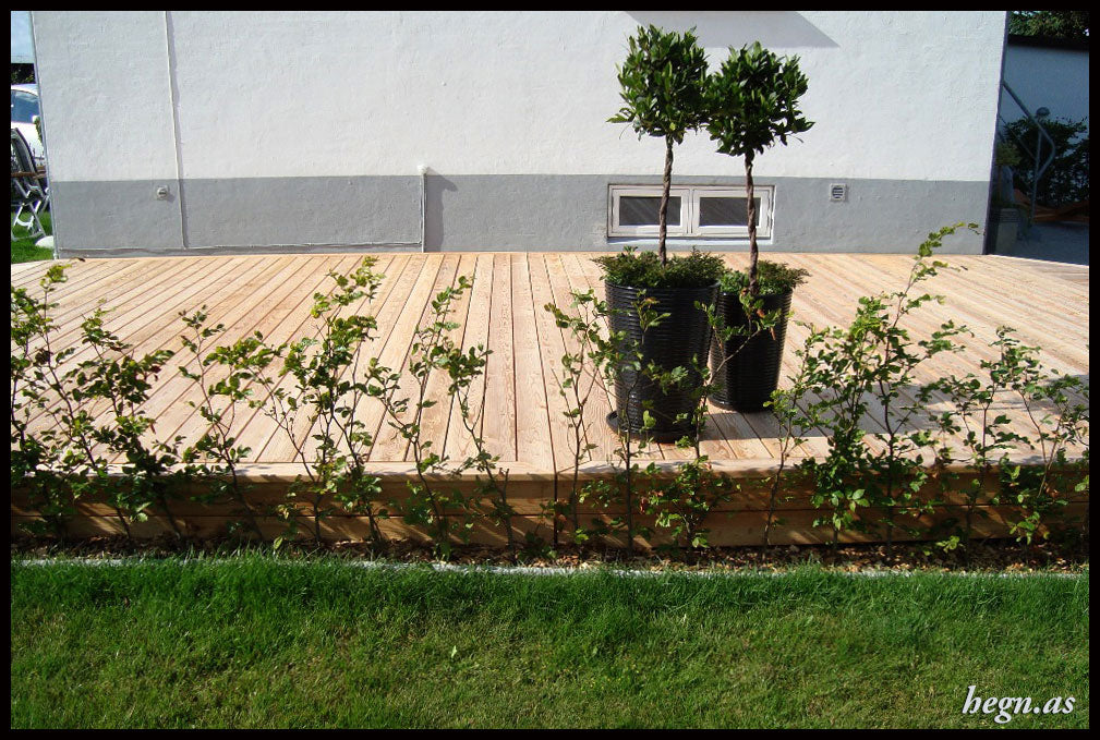 Terrassebrædder i lærk