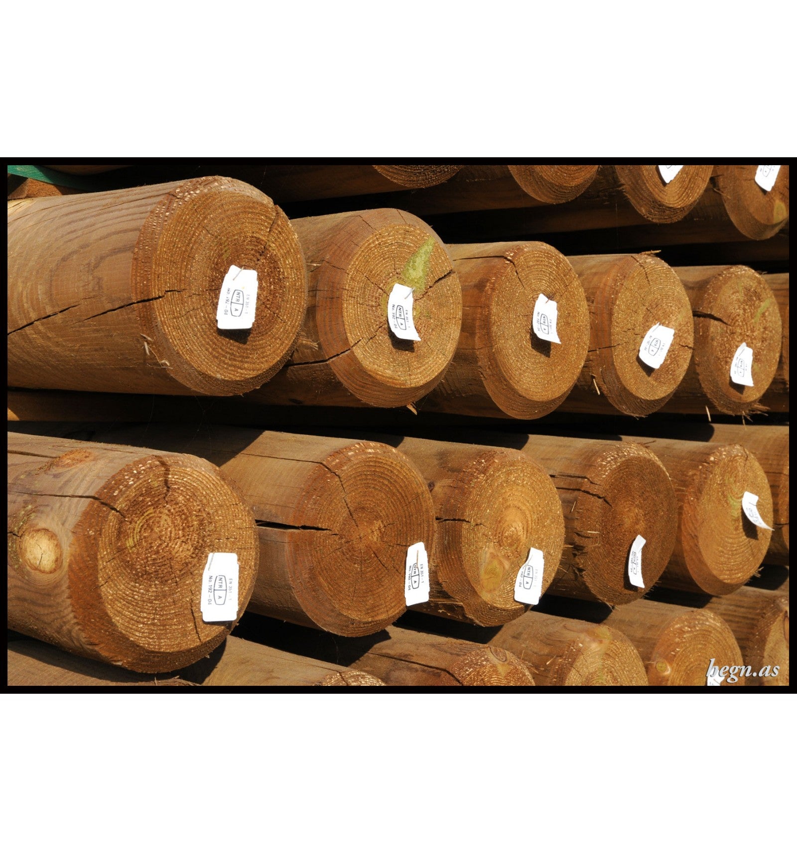 Trykimprægneret stolpe Ø12