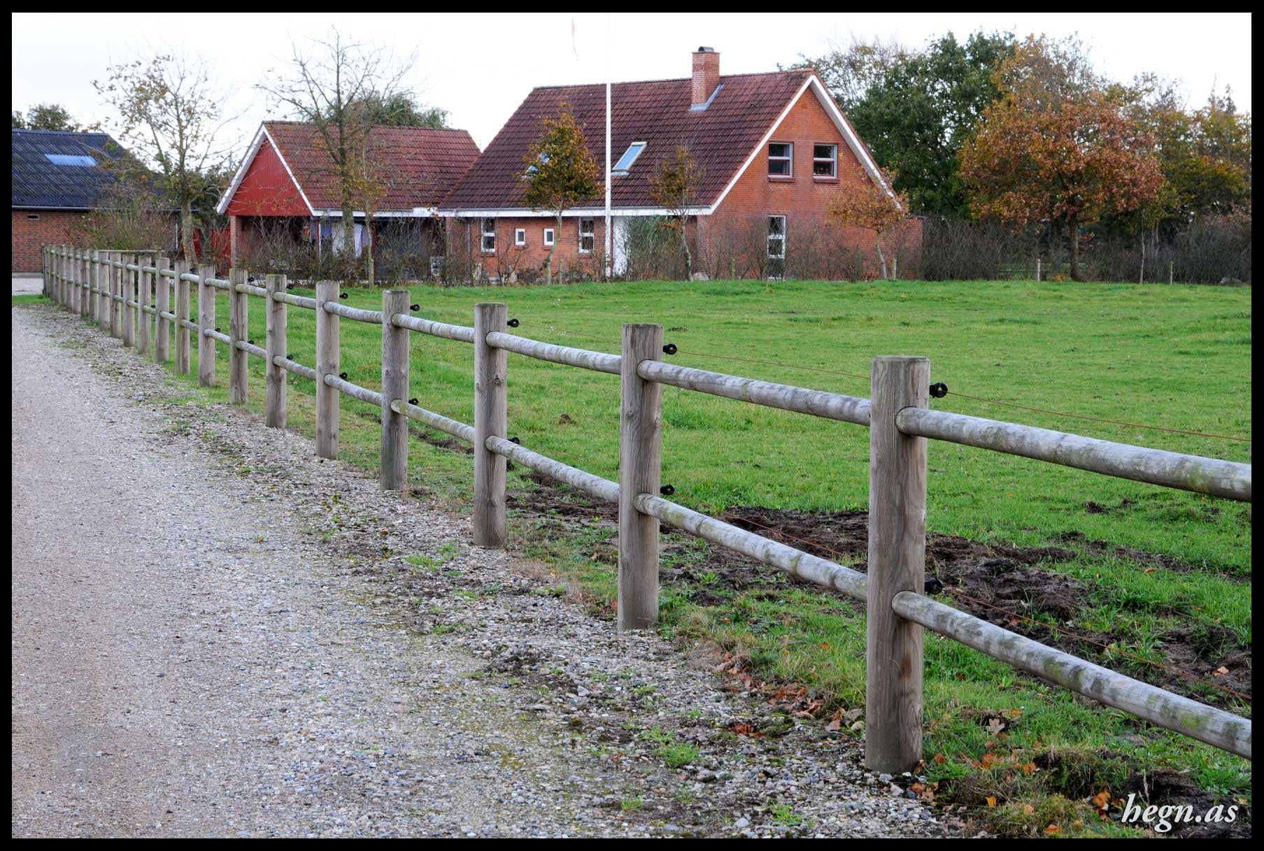 Texas hestehegn stolpe